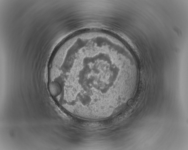 X0000110890791200907091353