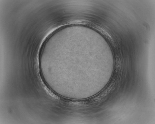 X0000110890792200907091353