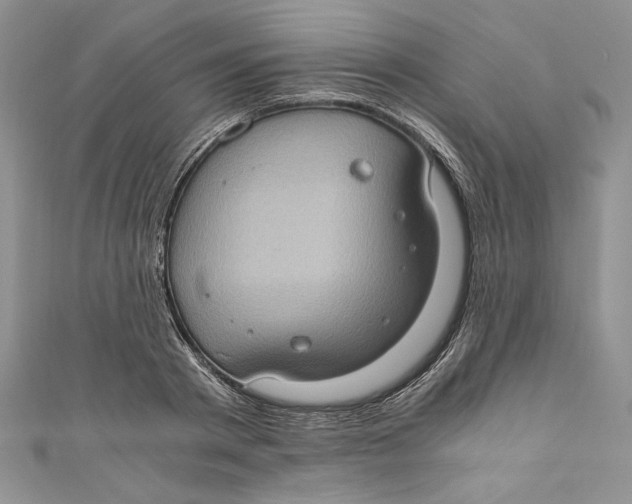 X0000110890793200907091353