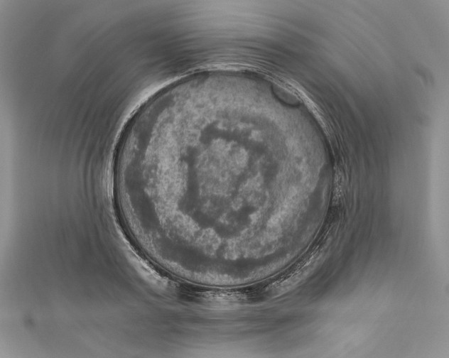 X0000110890795200907091353