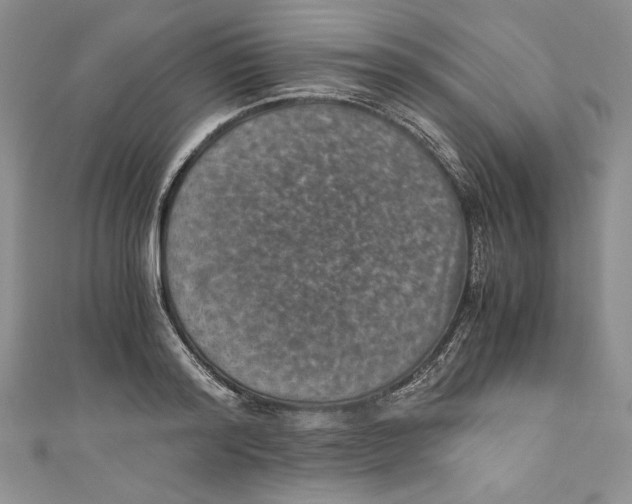 X0000110890796200907091353