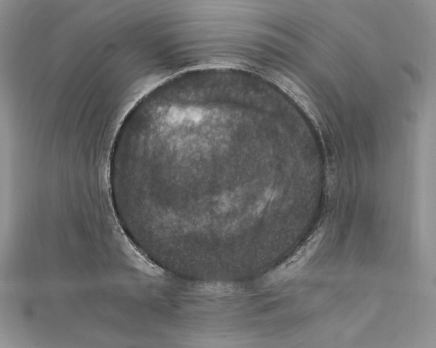 X0000110890797200907091353