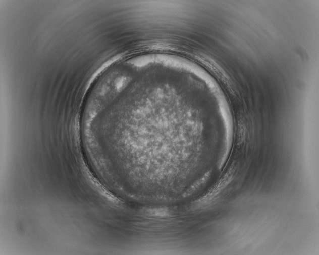 X0000110890798200907091353