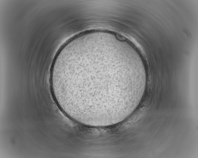 X0000110890799200907091353