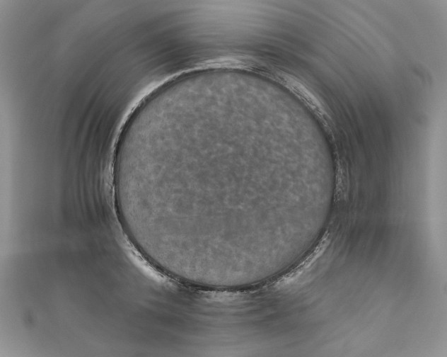 X0000110890800200907091353