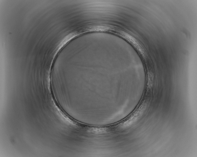 X0000110890802200907091353