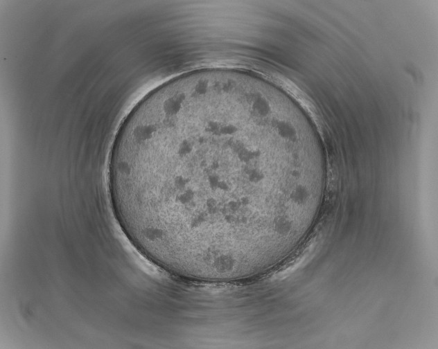 X0000110890803200907091353