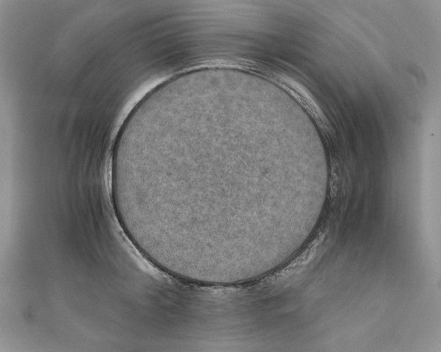 X0000110890804200907091353