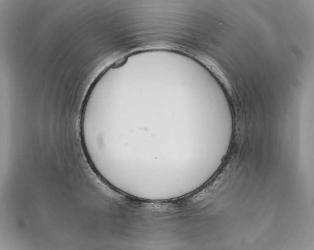 X0000110890805200907091353