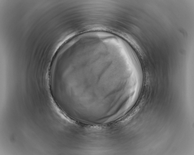 X0000110890806200907091353