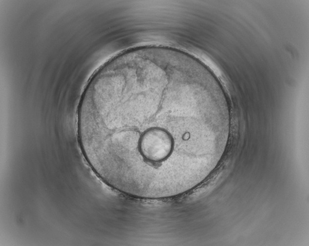 X0000110890807200907091353