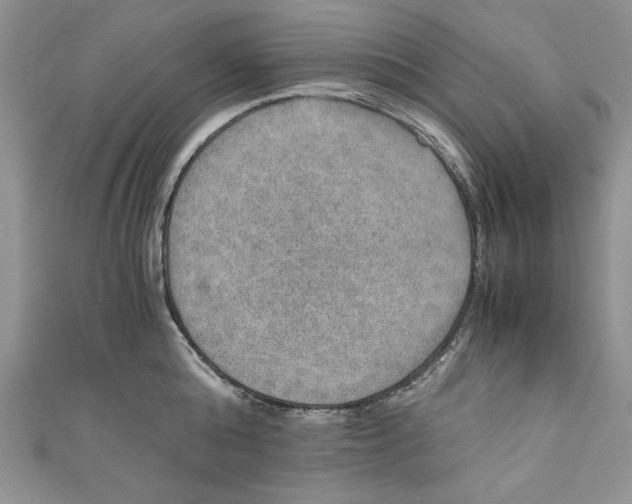 X0000110890808200907091353