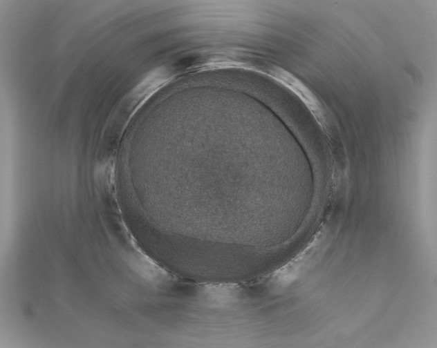 X0000110890809200907091353