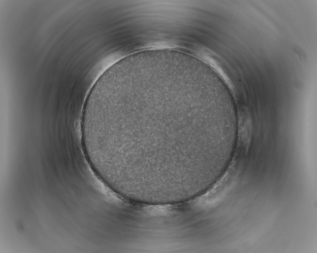 X0000110890810200907091353