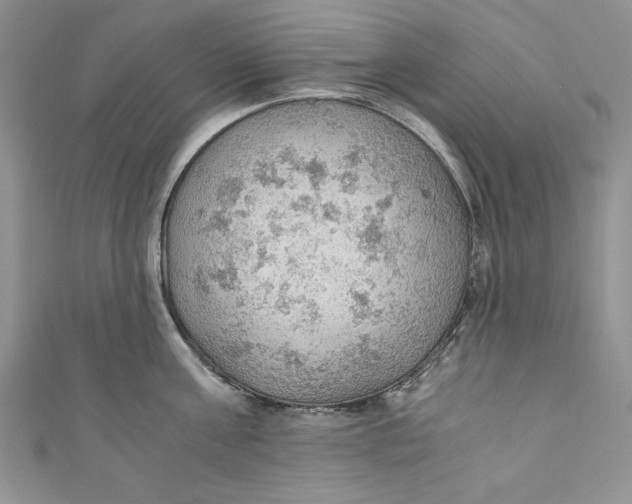 X0000110890811200907091353