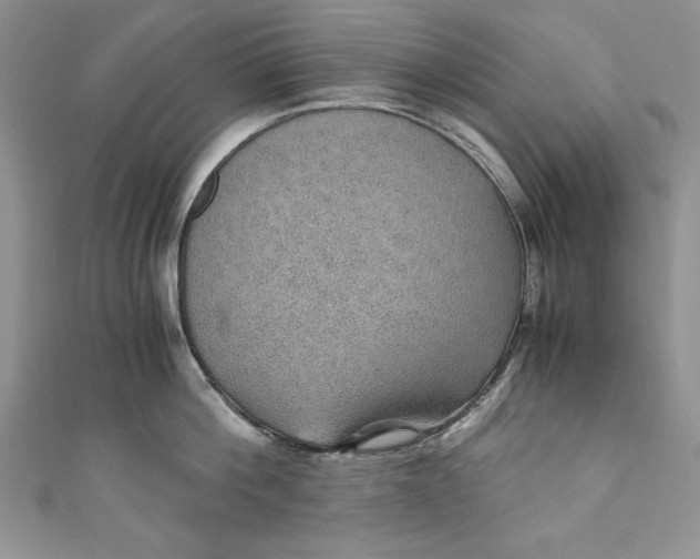 X0000110890812200907091353