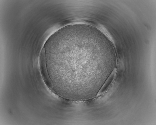 X0000110890813200907091353