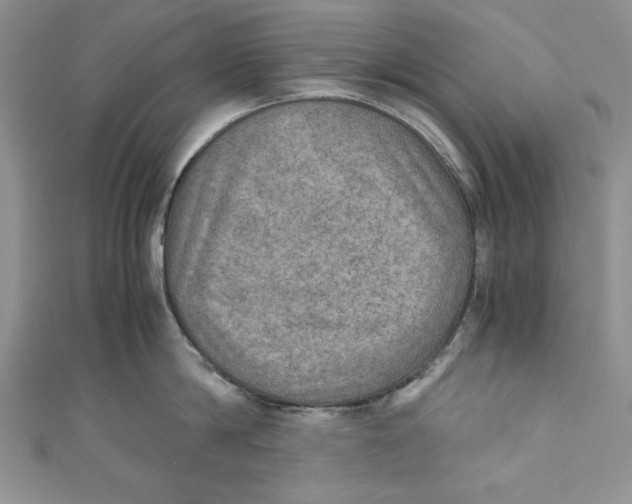 X0000110890814200907091352