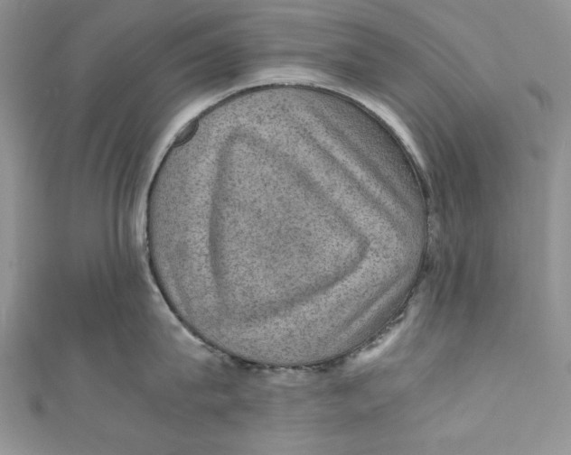 X0000110890815200907091352