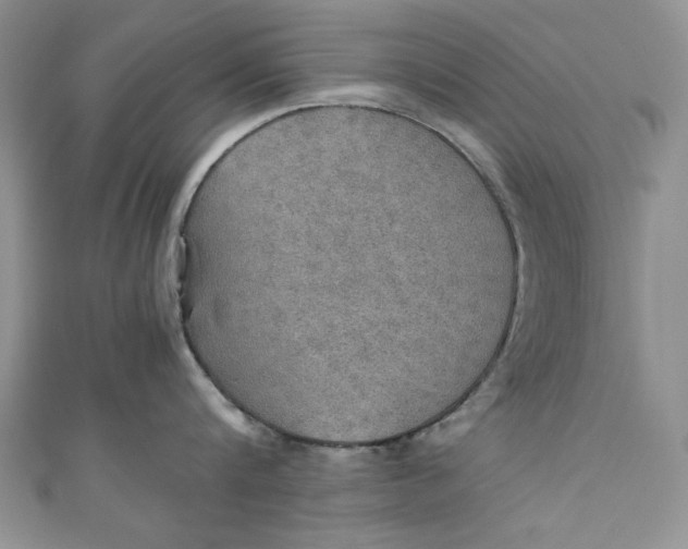 X0000110890816200907091352