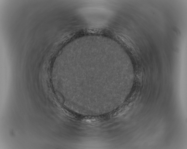 X0000110890817200907091352