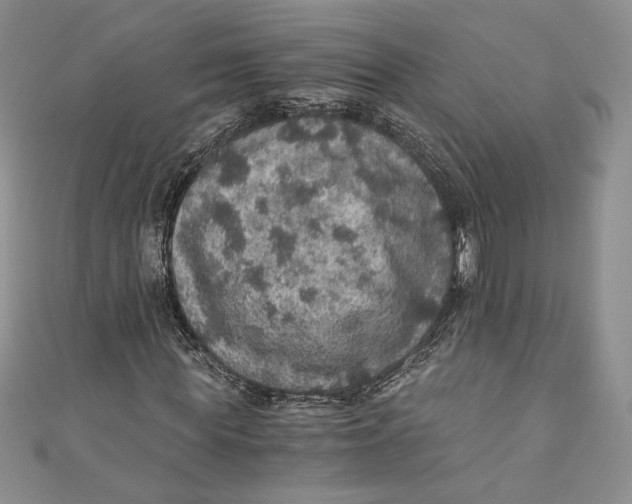 X0000110890819200907091352