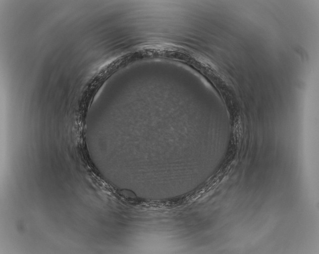 X0000110890822200907091352