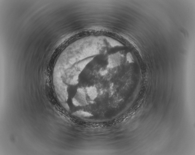 X0000110890823200907091352