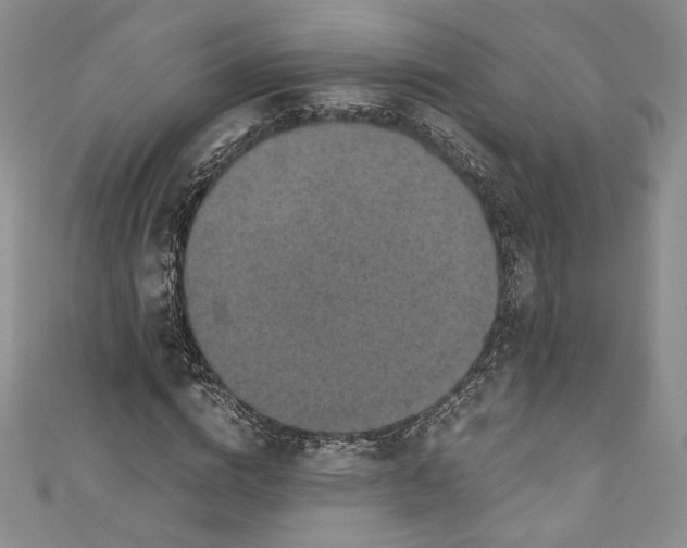 X0000110890824200907091352