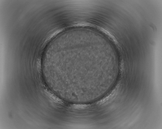 X0000110890825200907091352