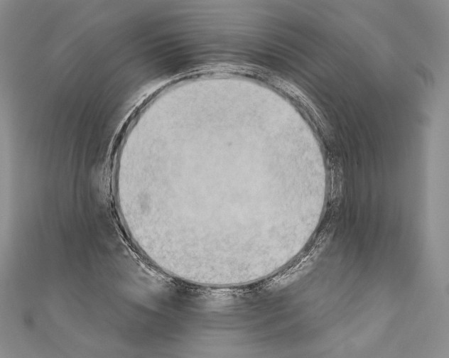 X0000110890828200907091352