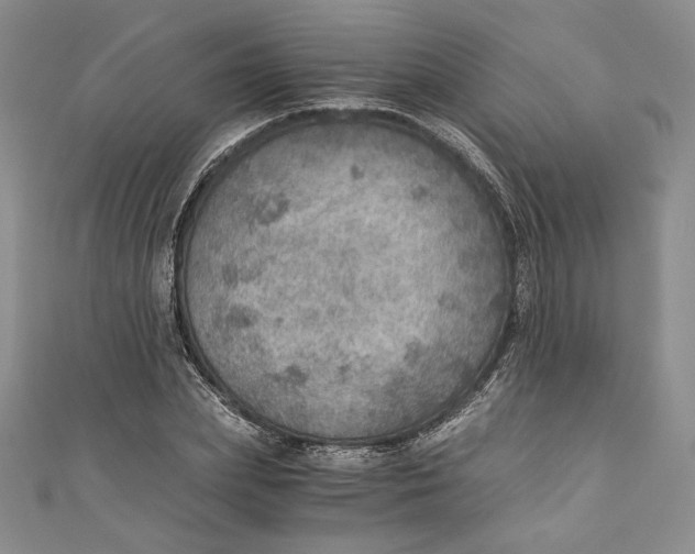 X0000110890831200907091352