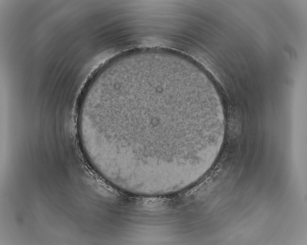 X0000110890832200907091352