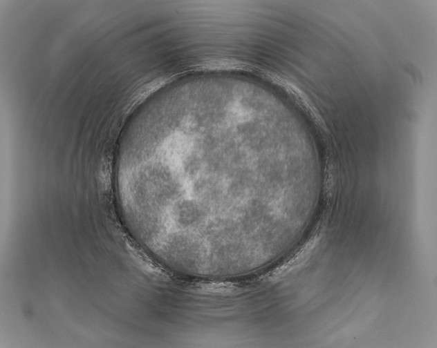 X0000110890833200907091352