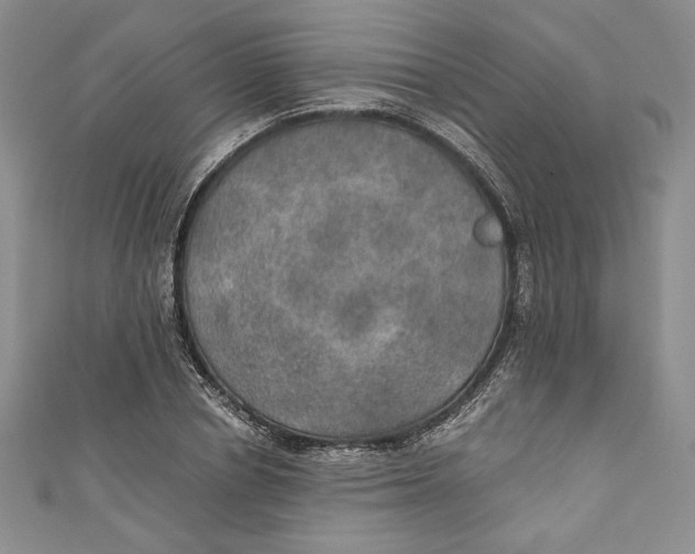 X0000110890834200907091352