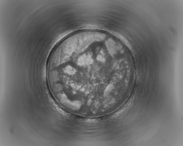 X0000110890839200907091352