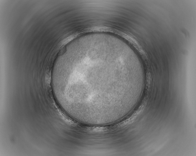 X0000110890841200907091352