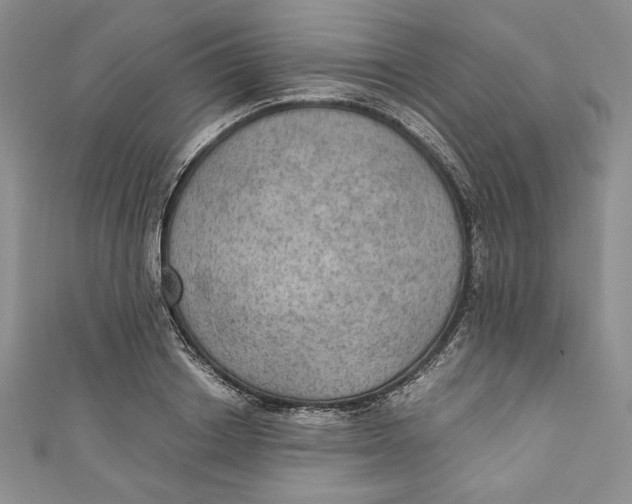 X0000110890842200907091352