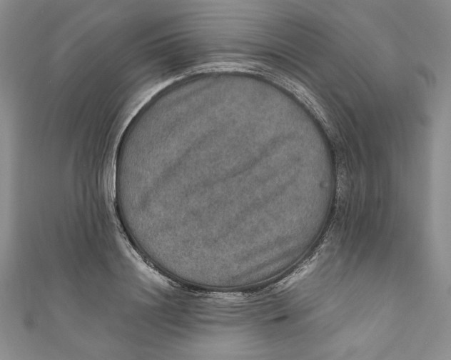 X0000110890844200907091352