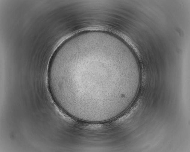 X0000110890845200907091352