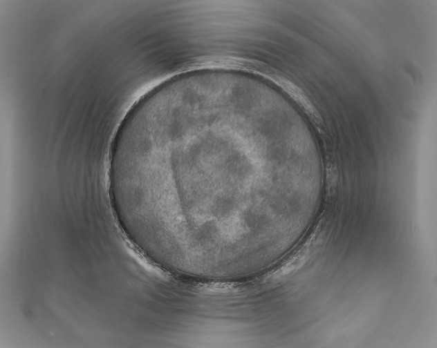 X0000110890846200907091352