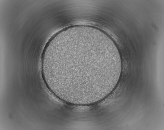 X0000110890848200907091352