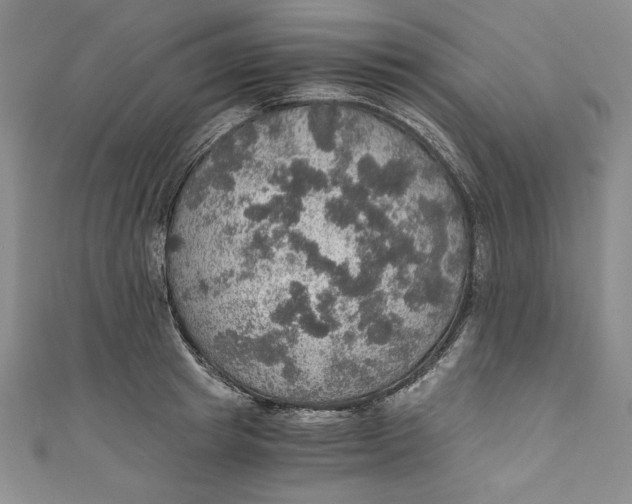 X0000110890849200907091352