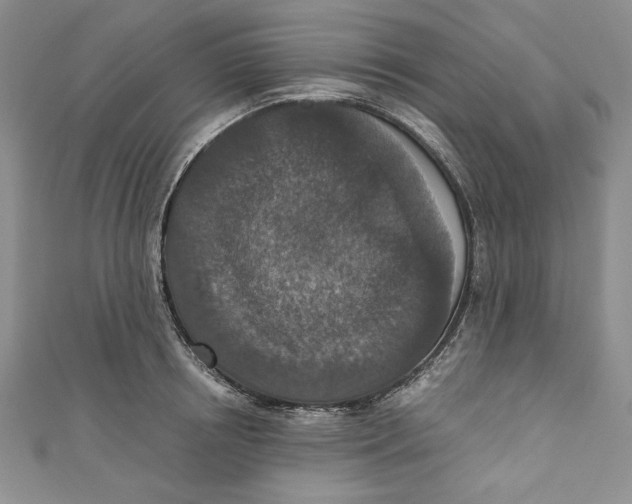 X0000110890850200907091352