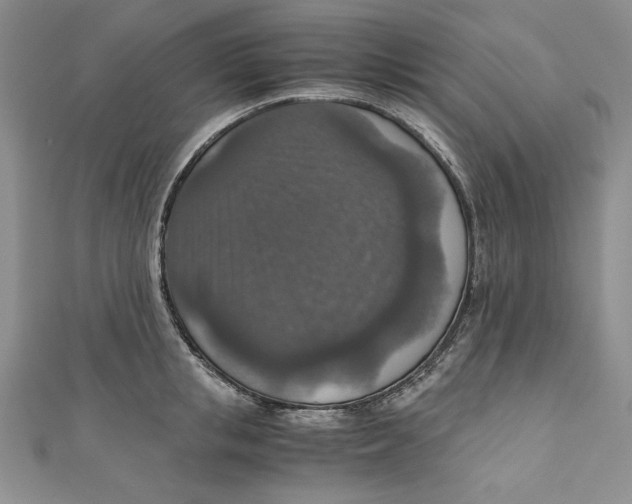 X0000110890853200907091352