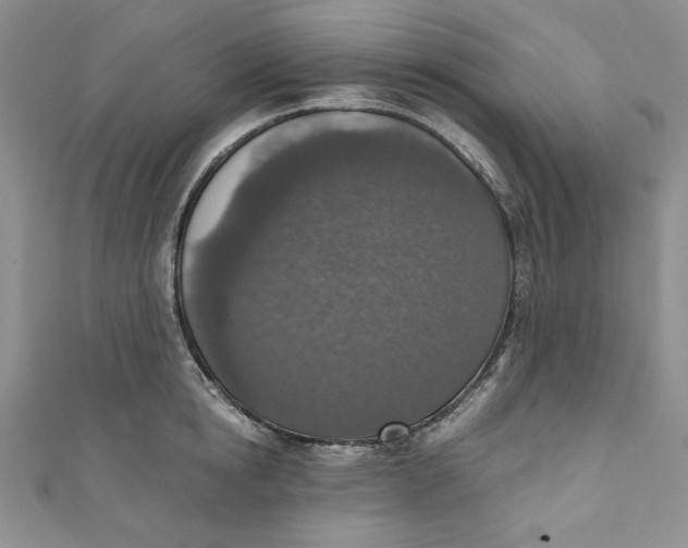 X0000110890854200907091352