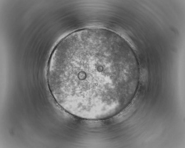 X0000110890856200907091352