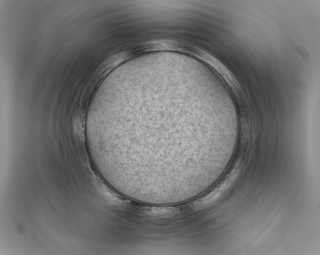 X0000110890857200907091352