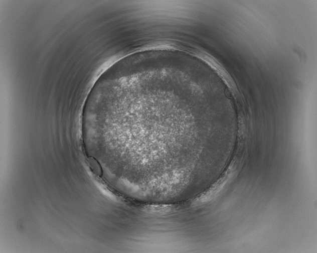 X0000110890858200907091352