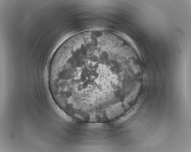 X0000110890859200907091352